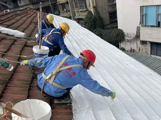 中科院成都分院70棟屋頂修防水繕工程